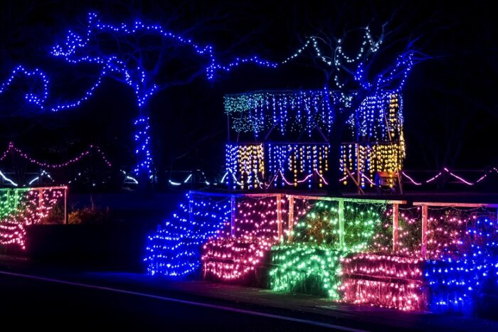 五島市【教会＆万葉公園のイルミネーション】をまるっと紹介！～みいらく光のまちづくり