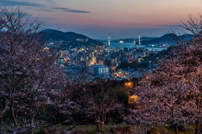 片淵近隣公園からの新世界三大夜景認定、長崎の夜景と夜桜