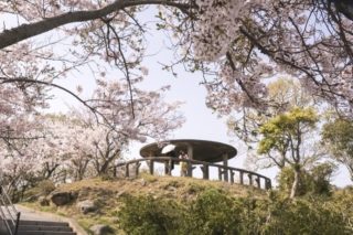 鍋冠山公園の桜【穴場？んー厳しい】でも景色はイイゾォーーッ！