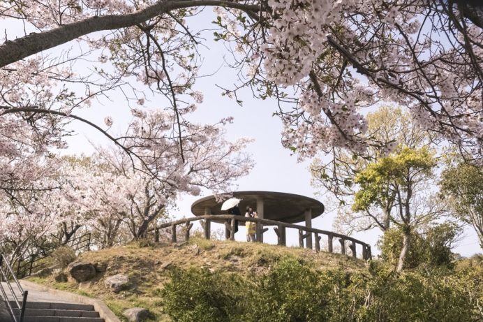 鍋冠山公園展望台（長崎市出雲）の桜と花見