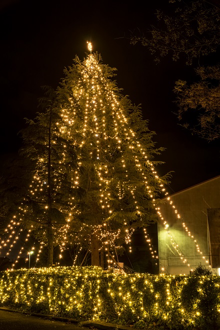 鎮西学院（長崎県諫早市西栄田町）のクリスマスツリー