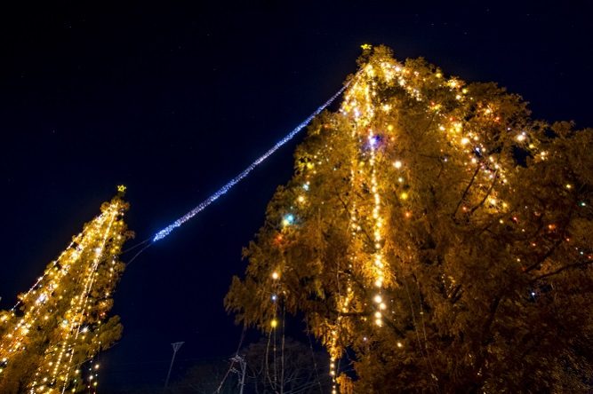 フェスティビタス ナタリスの巨大クリスマスツリー（南島原市北有馬町）