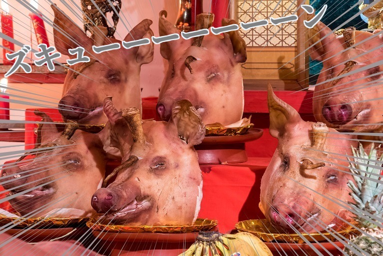 【2022中止？】ランタンフェスティバル〈豚の生首〉はココ！閲覧注意！！