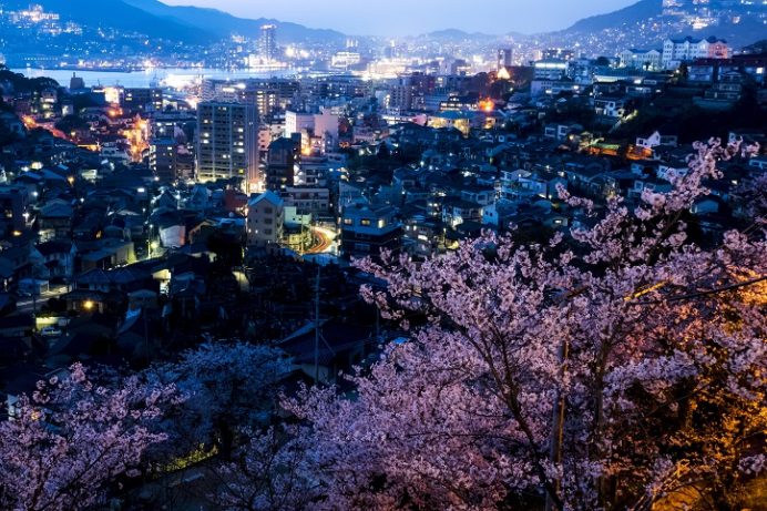 出雲近隣公園（長崎市）の桜と花見（夜）