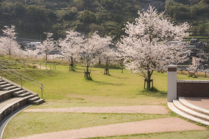 出雲近隣公園（長崎市）の桜と花見