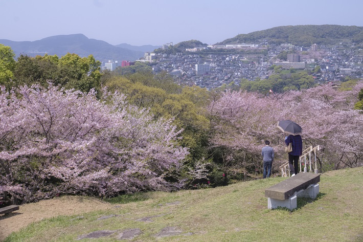 風頭公園（長崎市伊良林）での桜の花見
