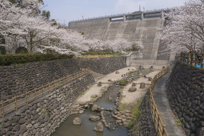 西山ダム下流公園（長崎市）の桜と花見