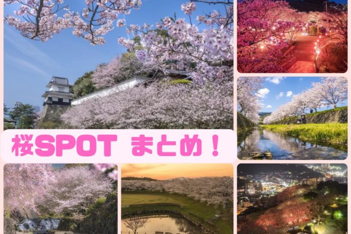 長崎県の桜、大村公園、橘神社、西海橋