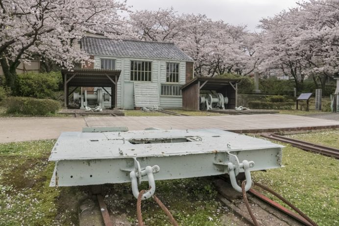 小菅修船場跡（長崎市小菅町、世界遺産）の桜