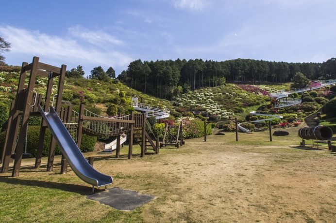 満開 見頃速報21 長串山公園つつじまつり 奇跡の絶景