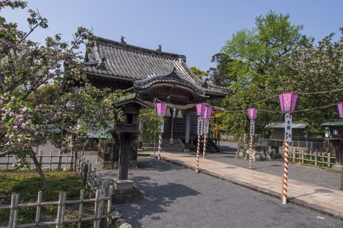 大村公園（長崎県大村市玖島）のオオムラザクラ、大村神社