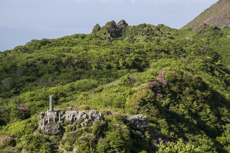雲仙岳登山道（長崎県島原半島）、普賢岳頂上、ミヤマキリシマ