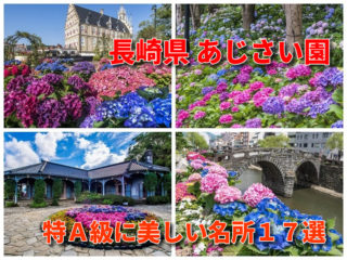 「長崎県のあじさい」【達人が選ぶ名所18選】見頃・見どころが一目瞭然!