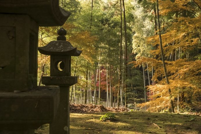 金比羅神社の紅葉（長崎市）