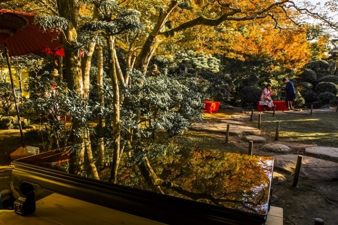 心田庵の紅葉(長崎市片淵2丁目)