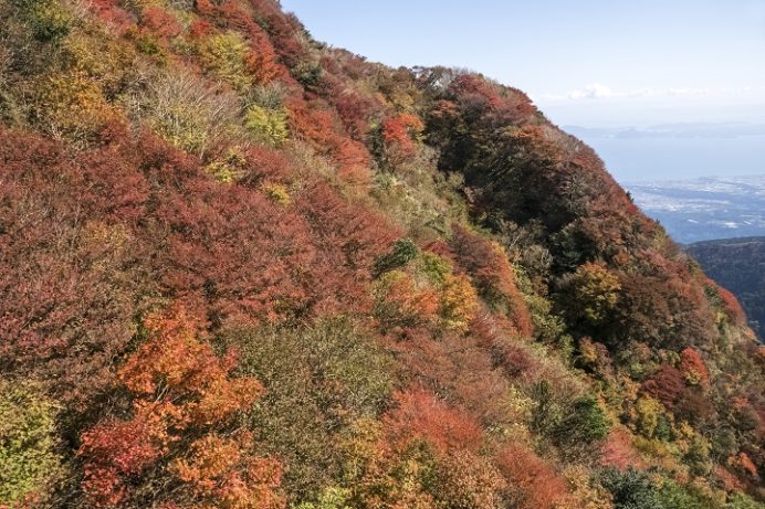 雲仙ロープウェイ（長崎県仁田峠）と紅葉、妙見岳（妙見岳南斜面）