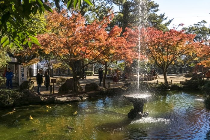 長崎公園の紅葉【見頃はいつ？】～写真と現地レポ！