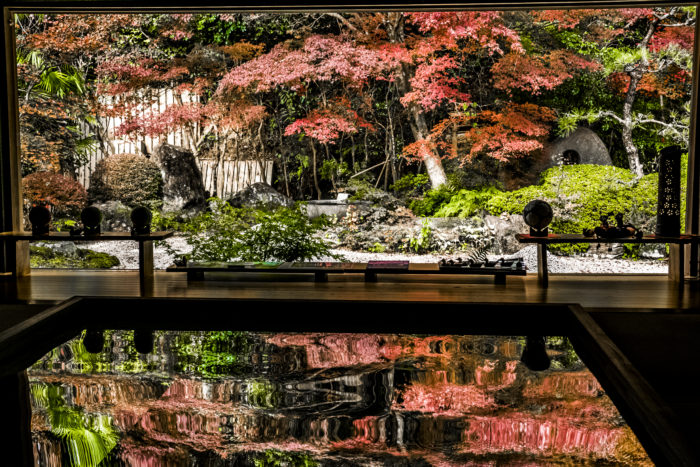 【見頃速報2023(11/20)】「寿福寺の紅葉」（じゅふくじ）～写真と現地レポ