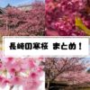 早咲きの河津桜（寒桜）【見頃速報2023(3/19)】～長崎の名所13選！