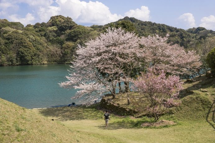 満開いつ 開花速報21 花見の穴場 琴海中央公園の桜 駐車場ある