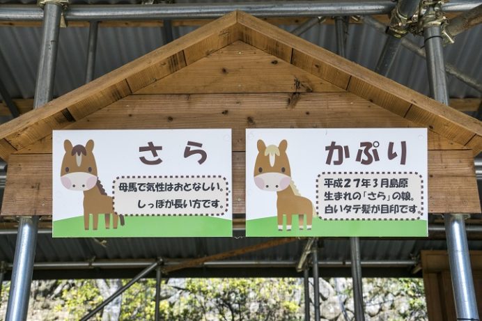 七面山妙光寺(長崎市鳴滝)