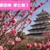 【見頃速報2023(2/8)】長崎「梅の６大名所」～梅まつり特集