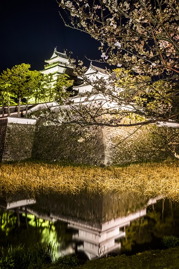 島原城（長崎県島原市城内）の桜と花見