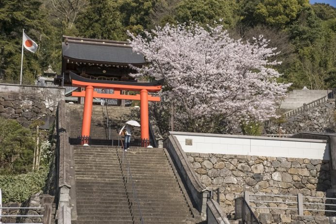 八坂神社（長崎市鍛冶屋町）の桜