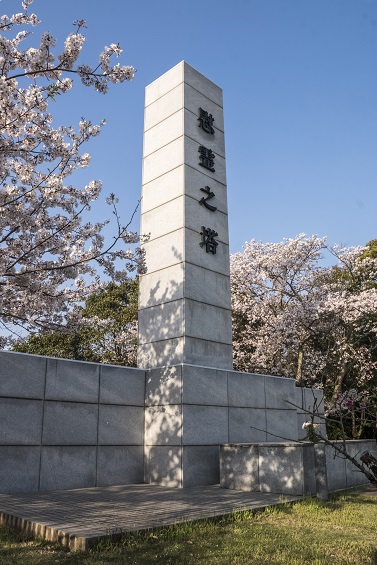 城山公園（長崎県東彼杵郡川棚町）の桜