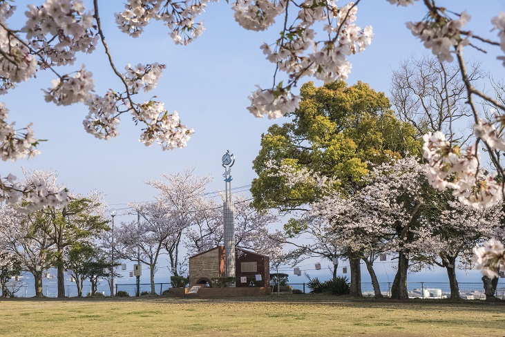 城山公園（長崎県東彼杵郡川棚町）の桜