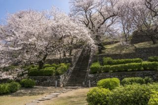 旧円融寺庭園の桜【開花と満開日2023！】～名画のような風景