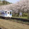吉井駅の桜【満開いつ？開花速報2022】～インスタ映えSPOT！