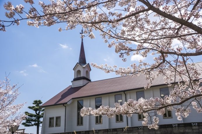 佐世保中央公園（佐世保市熊野町）の桜と花見