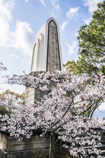 佐世保東山海軍墓地 東公園（佐世保市東山町）の桜と花見