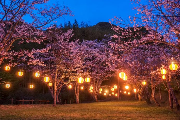 御橋観音 石橋、牧の岳公園（長崎県佐世保市吉井町）の桜と花見