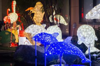 【中央公園に変更】島原ウィンターナイト・ファンタジアを現地レポ