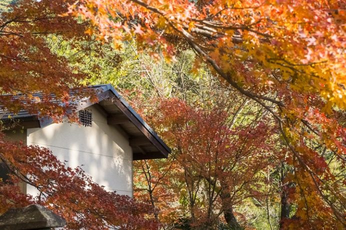 七面山妙光寺(長崎市)の紅葉