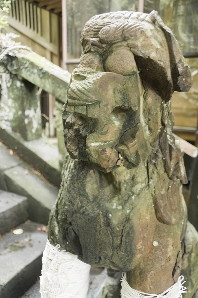 鎮西大社 諏訪神社（長崎市上西山町）の止め事成就の狛犬
