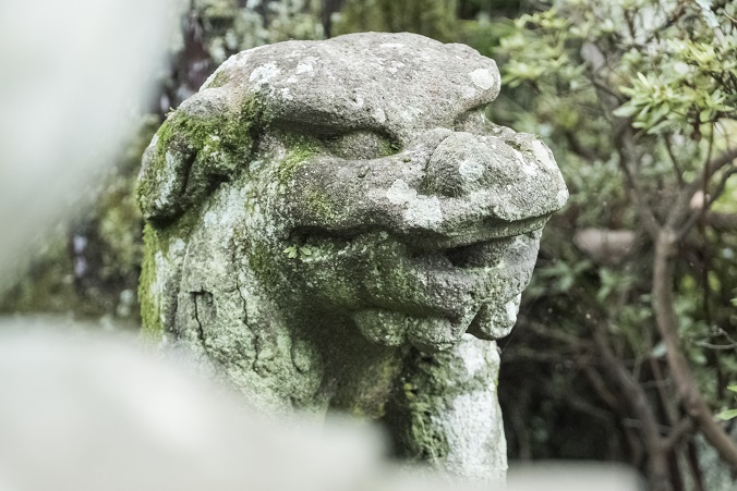 鎮西大社 諏訪神社（長崎市上西山町）のトゲ抜き狛犬
