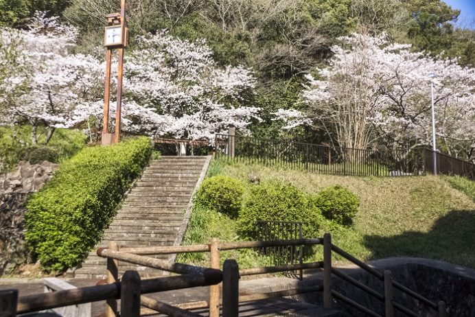 小ヶ倉水園、小ヶ倉ダム（長崎市上戸町）の桜と花見