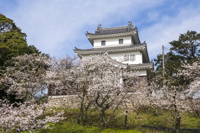 平戸城（亀岡公園）の桜と花見（平戸市岩の上町）