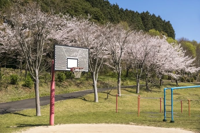 えぼしスポーツの里（佐世保市烏帽子町）の桜と花見