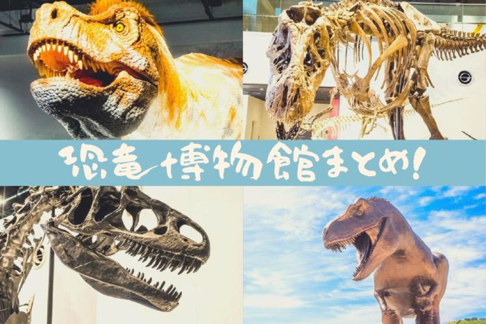 【5分で分かる】長崎市恐竜博物館～体験レポ！