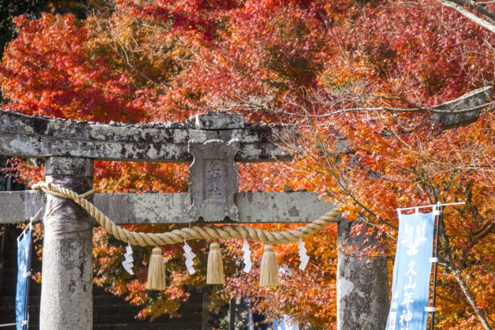 久山年神社の紅葉の見ごろは？【美しい写真レポ】～夜はライトアップ