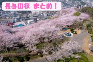 【見頃速報2023】「長与 桜スポット５選」～満開日が確定！