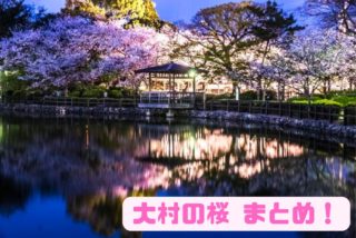 【見頃速報2023】「大村 桜スポット６選」～満開日が確定！