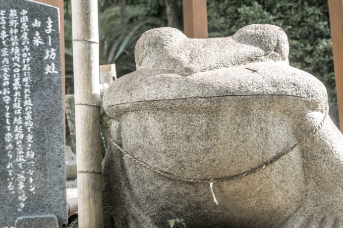 温泉熊野神社（島原市杉山町）、まー坊蛙