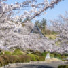 大崎自然公園の桜【開花と満開日2023】～遊戯施設が鬼充実！