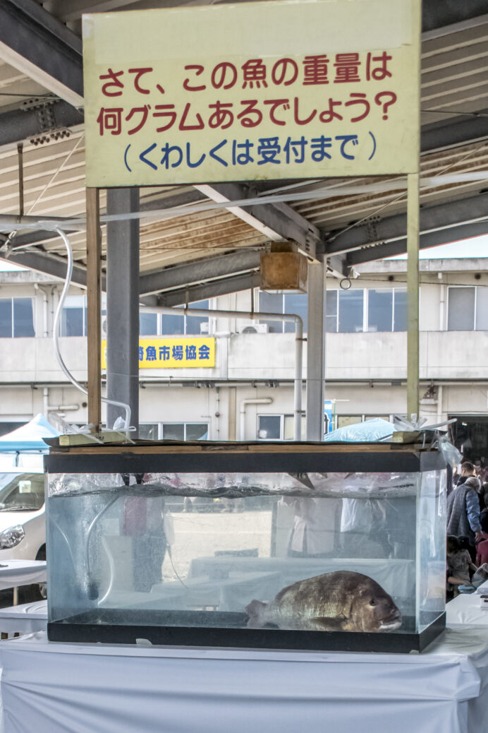 長崎さかな祭り2023（長崎魚市場）、お魚重量当てクイズ