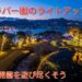 グラバー園のライトアップ2023【夜間開園を遊び尽くす】～攻略ガイド